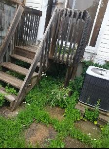 SPRING BACKYARD CLEAN-UP SPECIAL! - Photo 3