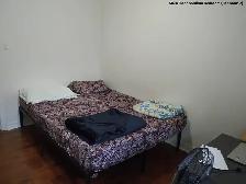 Room near UTSC & Centennial - Photo 2