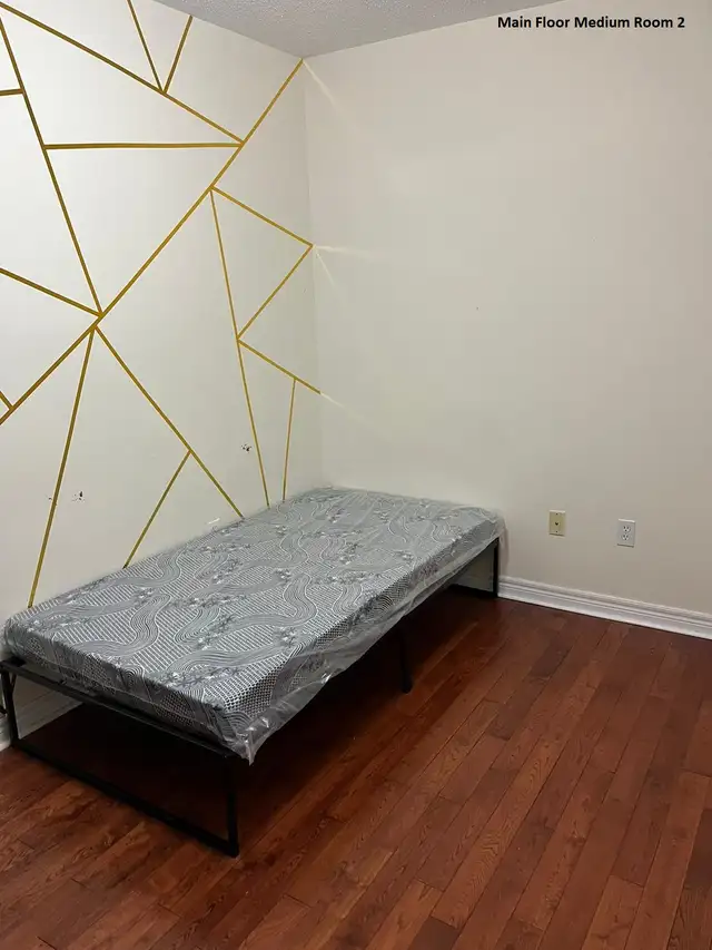 Room near UTSC & Centennial - Photo 4