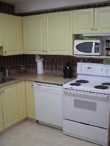 Acadia Condo, 85E, 231 Heritage Drive SE - Photo 4