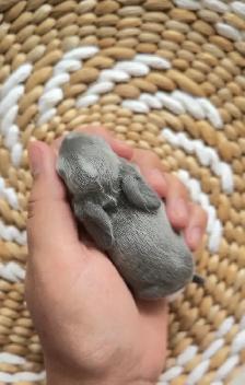 baby mini plush lop bunnies - Photo 4