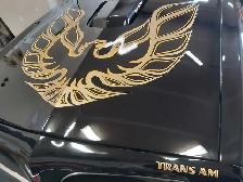 Protect your ride! - Photo 6