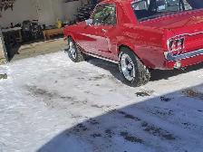 Protect your ride! - Photo 7