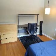 May1-2 Rooms-one w/Bath- 12X12-Merivale/Hunt Club-See VIDEO's - Photo 2