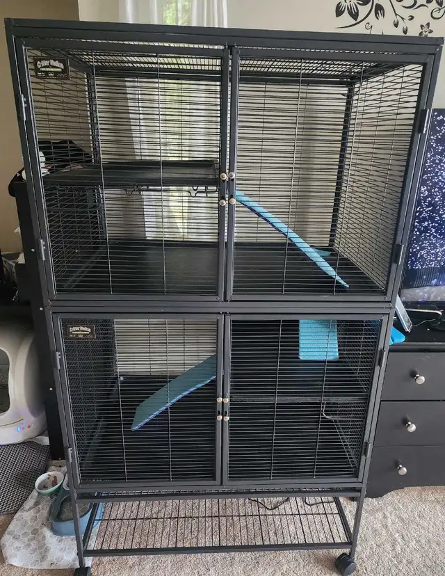 Double Critter nation cage