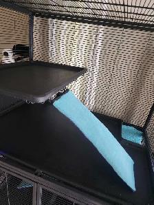 Double Critter nation cage - Photo 4