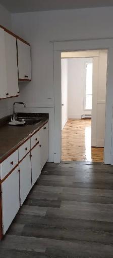 4 1/2 apt.renové près de metro Joliette/préfontaine à louer - Photo 4