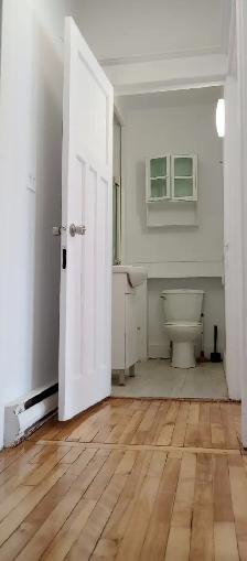 4 1/2 apt.renové près de metro Joliette/préfontaine à louer - Photo 6