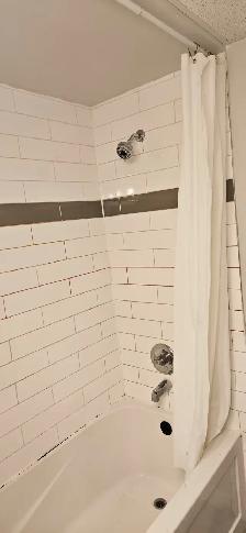 Studio Apartment for Rent – $750/month 626 Ellice Avenue., Winni - Photo 6