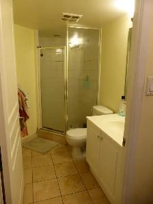FURNISHED ROOM PVT BATHROOM IN DNTN CONDO W/ GREAT VIEW APR 1 - Photo 8