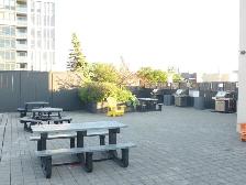 FURNISHED ROOM PVT BATHROOM IN DNTN CONDO W/ GREAT VIEW APR 1 - Photo 9