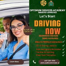 Wheels in Motion, Skills in Action" Driving Lessons