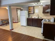 Spacious 2 Bedroom Basement Suite in Beddington - Photo 2