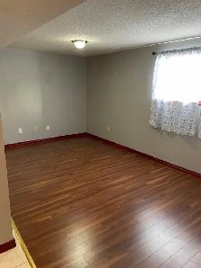 Spacious 2 Bedroom Basement Suite in Beddington - Photo 3