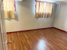 Spacious 2 Bedroom Basement Suite in Beddington - Photo 4