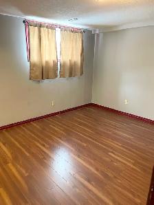 Spacious 2 Bedroom Basement Suite in Beddington - Photo 5