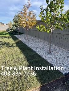 Pavers, Walkways, Rock - Photo 2