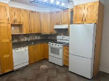 Grand 3 1/2 à Homa avec electros et internet haute vitesse au 3e