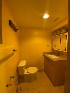 One Bedroom Basement Apartment - Photo 8