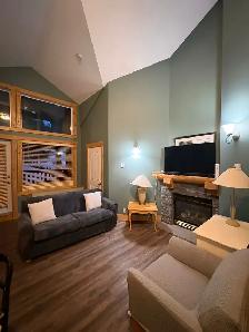 2B2b furnished apt in Cornerstone Lodge for rent from June 1 - Photo 7