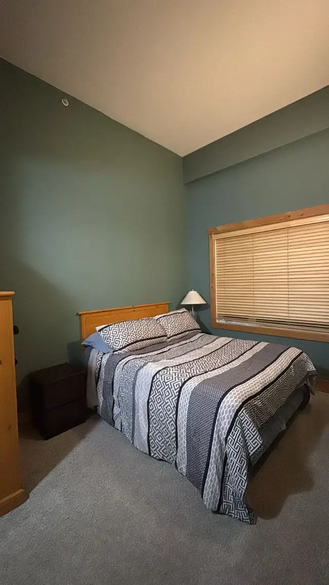 2B2b furnished apt in Cornerstone Lodge for rent from June 1 - Photo 9