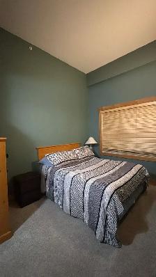 2B2b furnished apt in Cornerstone Lodge for rent from June 1 - Photo 9