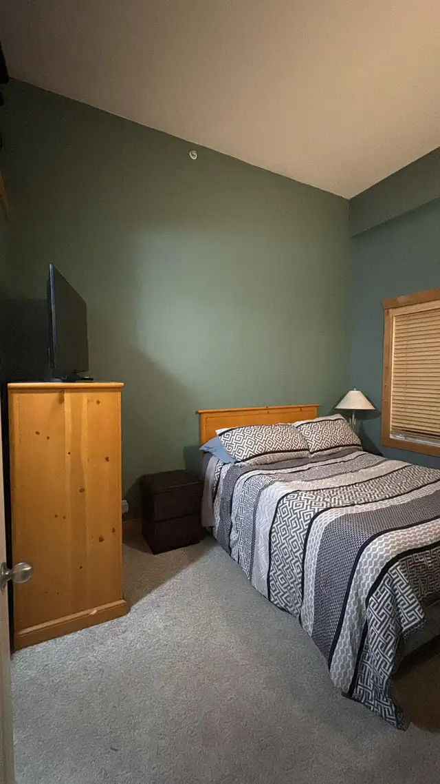 2B2b furnished apt in Cornerstone Lodge for rent from June 1 - Photo 10