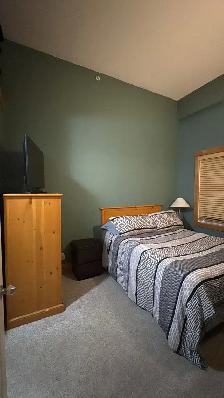 2B2b furnished apt in Cornerstone Lodge for rent from June 1 - Photo 10