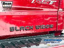 2024 Chevrolet Silverado 1500 - Photo 12