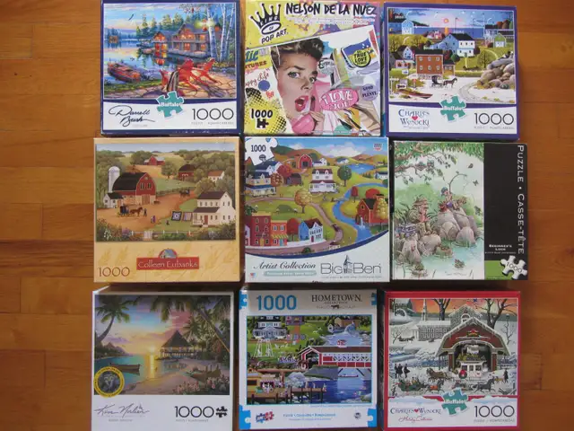Casse-têtes 1000 pièces à vendre ... voir photos