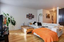 Nice new large 3 1/2 condo with parking in NDG move in July 1st - Photo 8