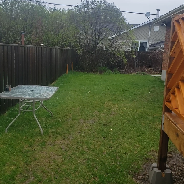 For Rent – Newly created Legal 3 Bedroom Lower Duplex – Trenton - Photo 3