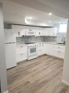 For Rent – Newly created Legal 3 Bedroom Lower Duplex – Trenton - Photo 4