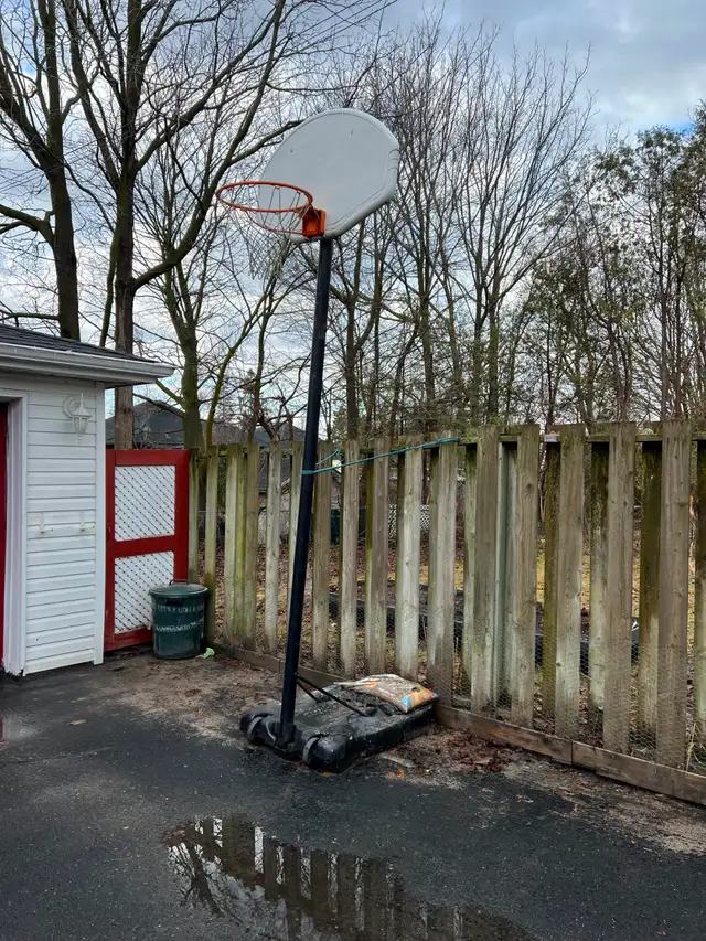 Free Basketball net