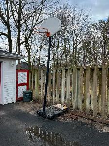 Free Basketball net