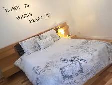 Lumineux 41/2 avec cour privée a Rosemont/  Dispo 1er Mai - Photo 5