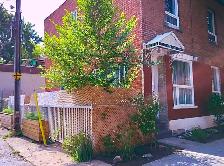 Lumineux 41/2 avec cour privée a Rosemont/  Dispo 1er Mai - Photo 9