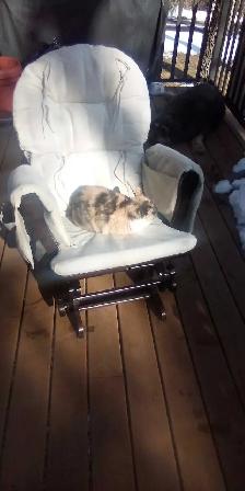 rocking chair - Photo 2