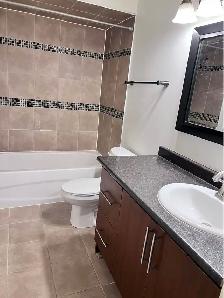 Basement For Lease in Brampton - Photo 18