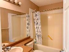 Furnished One Bedroom with Living Room and Bathroom in Southwest - Photo 7