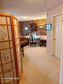 Furnished One Bedroom with Living Room and Bathroom in Southwest - Photo 8