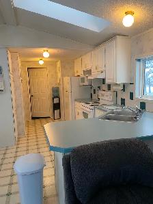 Mobile Home 1994 Triple E To Be Moved - Photo 9