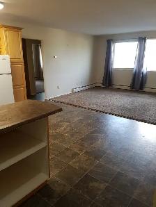 Mature Adult Living, 2 bdrm Quiet Building. - Photo 9