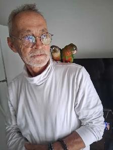 Couple de conure - Photo 5