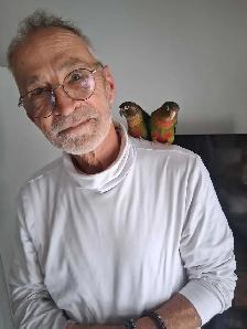 Couple de conure - Photo 6