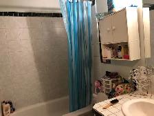 Abbeydale beautiful main floor 3 bedroom,sep ent $ 1350/m 60%ut - Photo 10