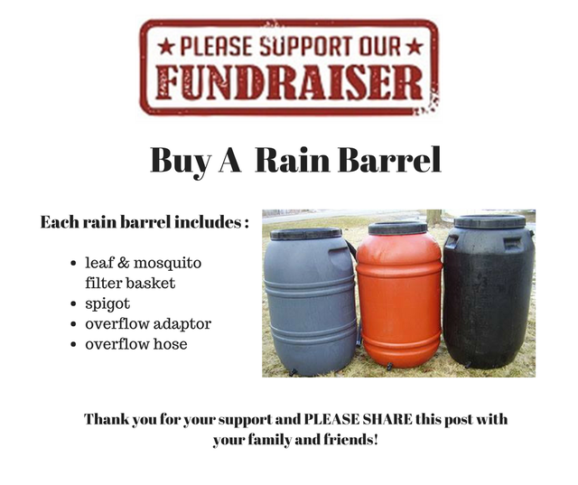 Rain Barrel Sale