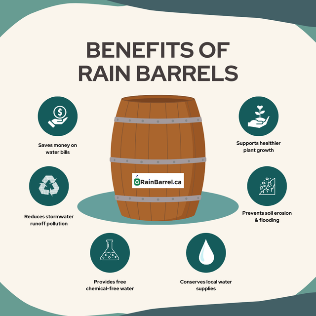 Rain Barrel Sale - Photo 2