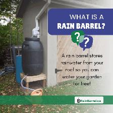 Rain Barrel Sale - Photo 3