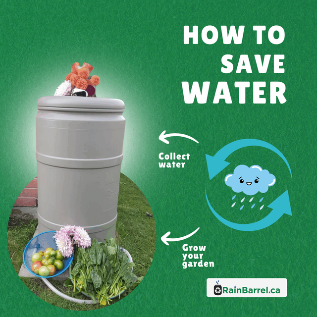 Rain Barrel Sale - Photo 4